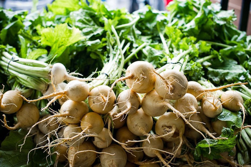 White Albino Beet Seeds, Holland Heirloom, NON-GMO, Variety Sizes, FREE SHIPPING