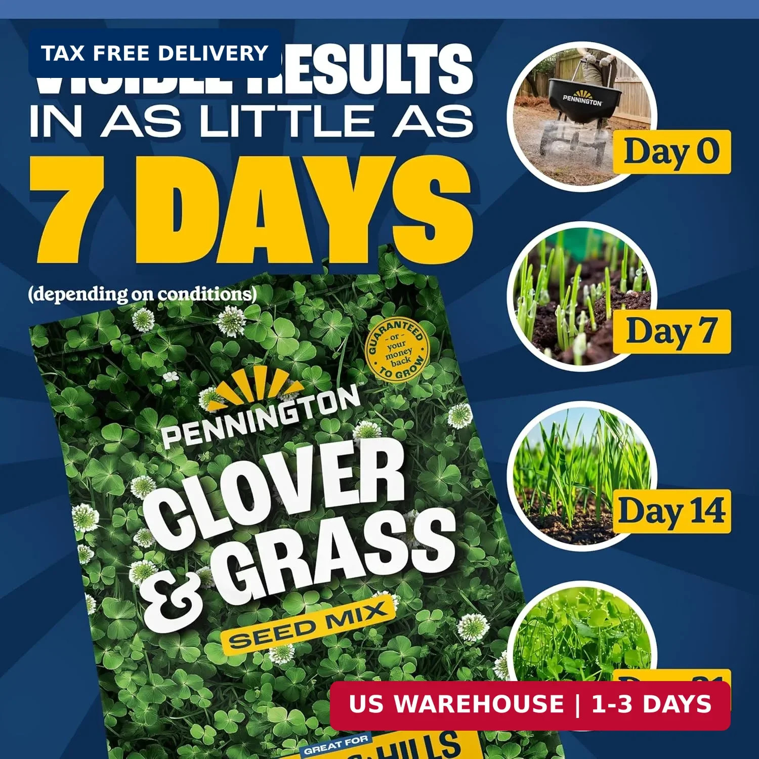 Pennington Clover + Grass Mix, Clover Seeds for Lawn, 7 LB