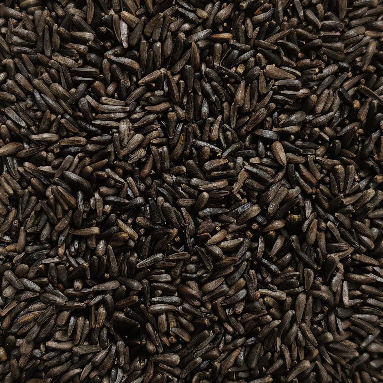 Happy Wings Nyjer/Thistle Seeds Wild Bird Food – 5 Pounds I No Grow Seed I Bird