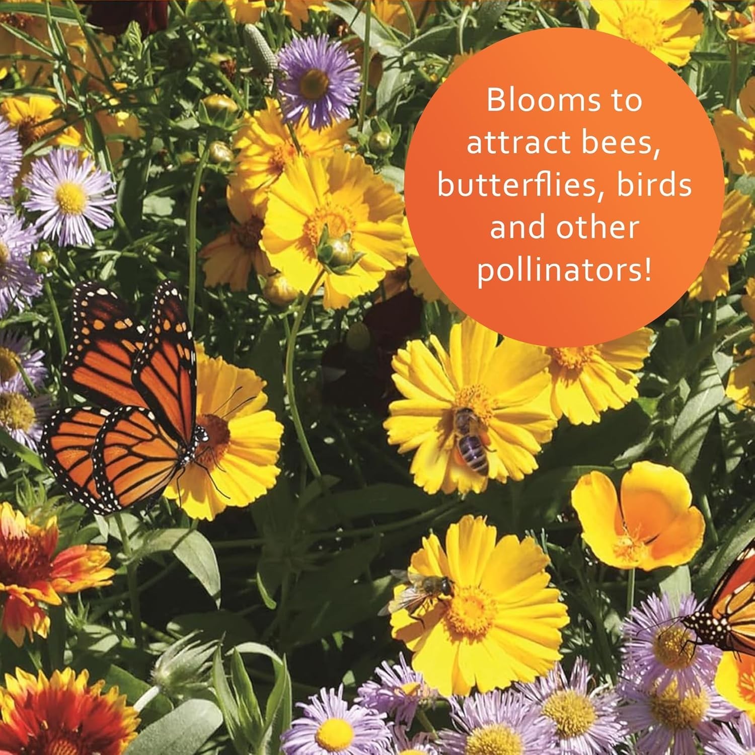 3-in-1 Wildflower Mix – 6lb of Seeds, Food & Soil conditioner for Pollinators