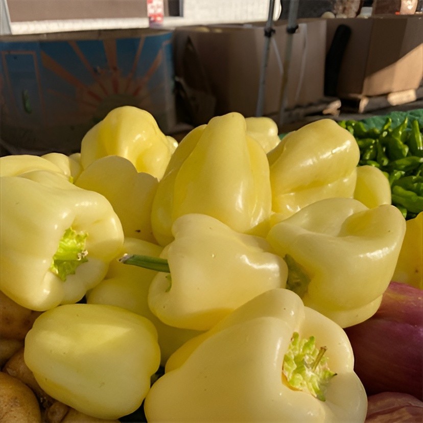 100 Heirloom White Cloud Bell Pepper Seeds – Giant Extra Sweet White Bell Pepper