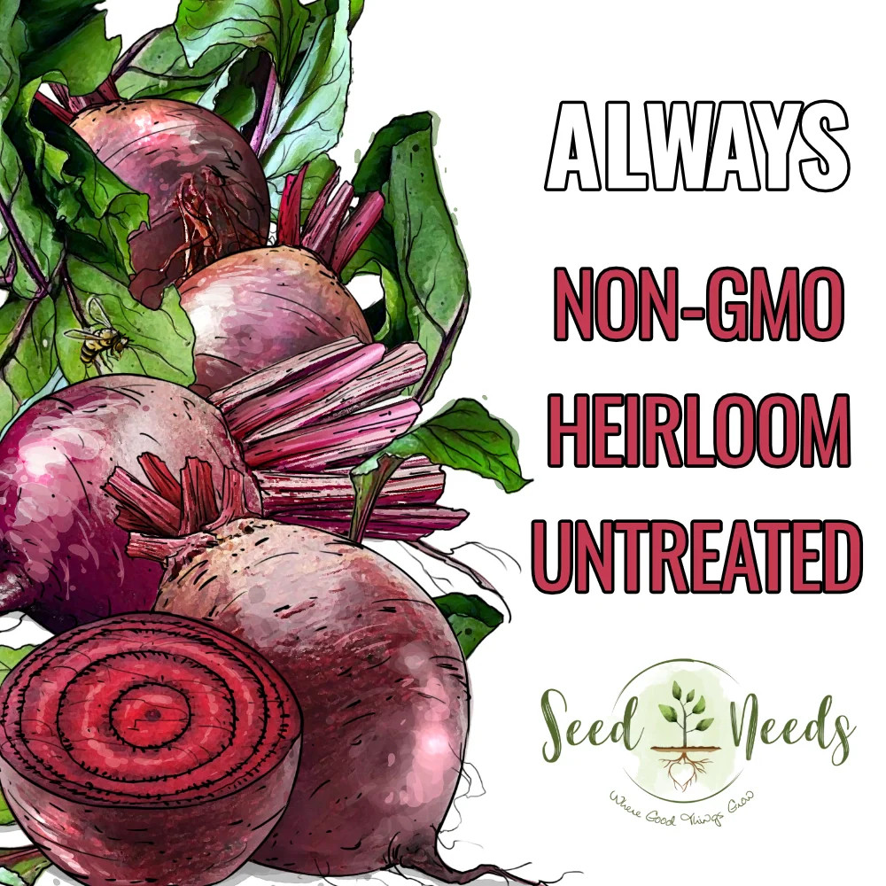 Ruby Queen Beet Seeds For Planting (Beta vulgaris)