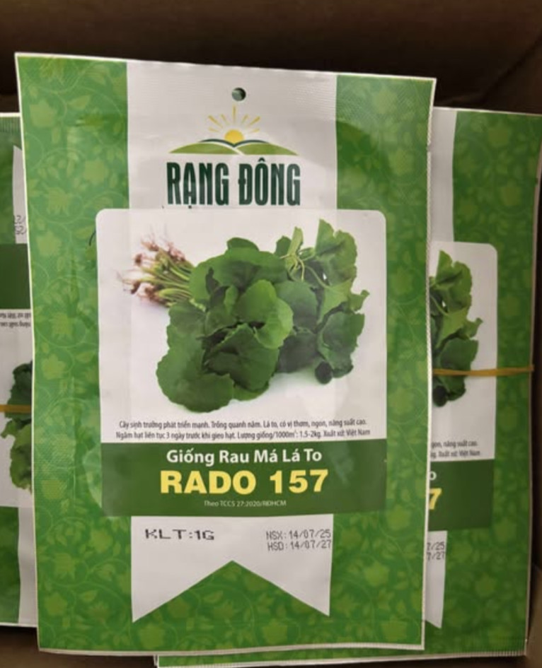 Gotu Kola Seeds 1g – Centella Asiatica – Pennywort – Rau Má Lá To – Asian Herb