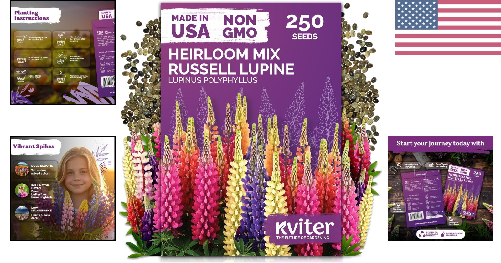 250 Mixed Russell Lupine Seeds for Full Sun Gardens – Easy & Low Maintenance