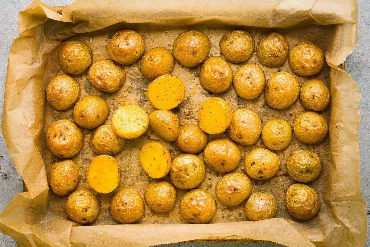 POTATO Tubers MEDIUM Seed Potatoes Kennebec For Planting White