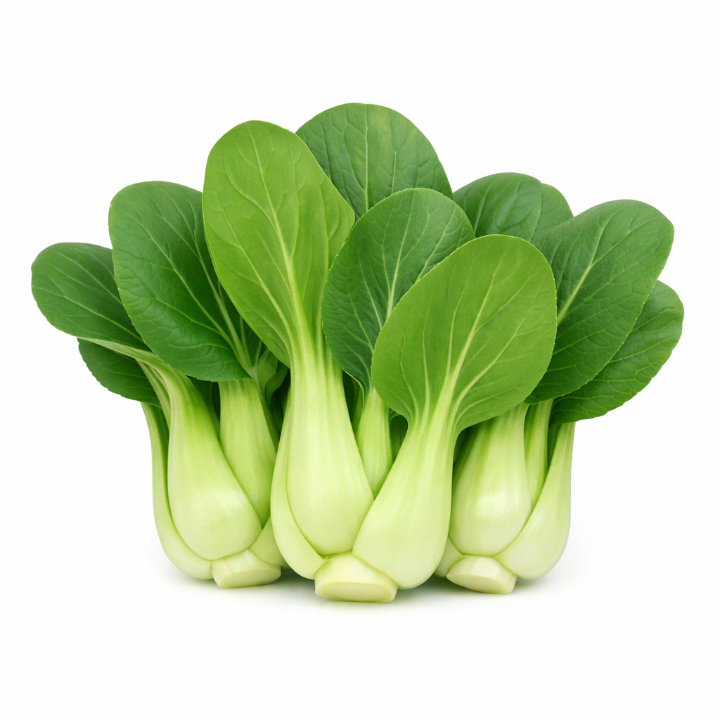 Pak Choy Ching Chang Seeds Baby Bok Choy Green Stem Heirloom Non-GMO
