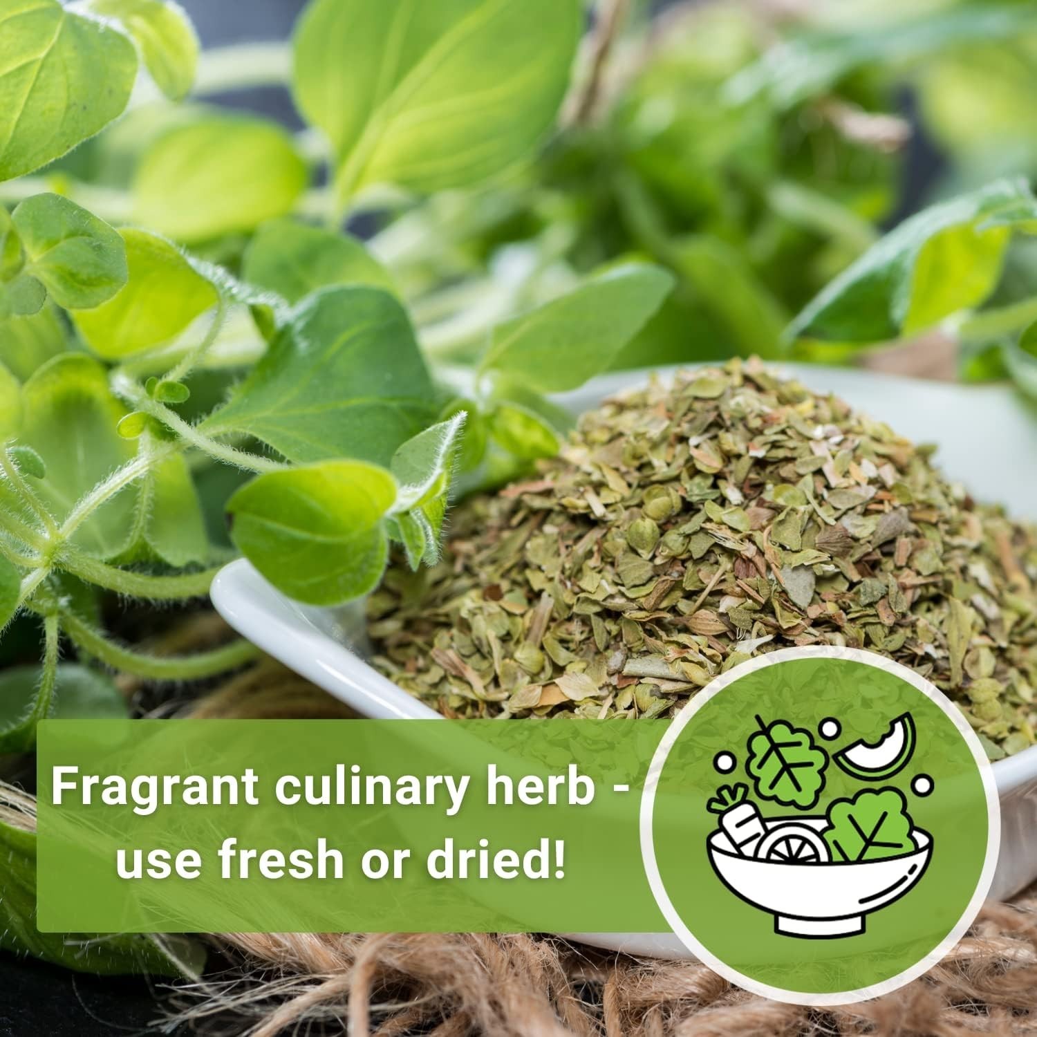 Fragrant Oregano Seeds for Indoor/Outdoor Gardening – Germinates in 7-14 Days