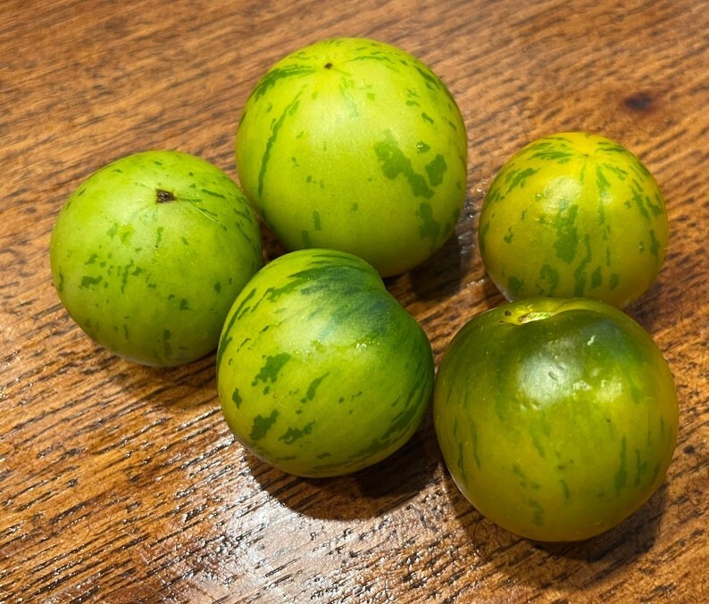 Numbat Striped Green Zebra Dwarf Tomato Premium Seed Packet
