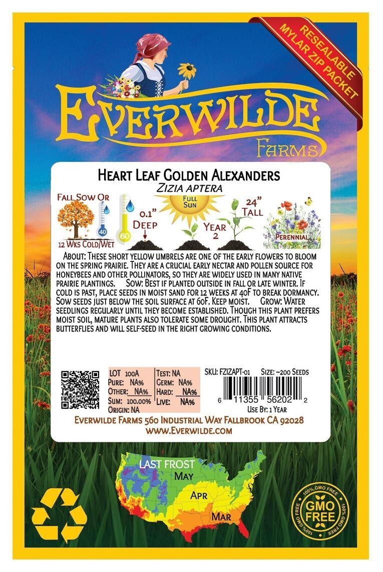 100 Heart Leaf Golden Alexanders Wildflower Seeds – Everwilde Farms Mylar Packet