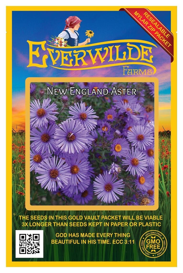 1000 New England Aster Wildflower Seeds – Everwilde Farms Mylar Seed Packet