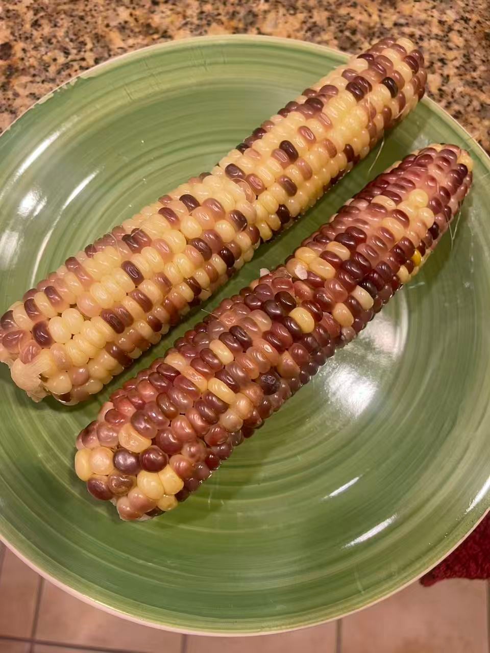 Organic Sweet Sticky Waxy Mixed Variety Glutinous Corn Non-GMO 糯玉米