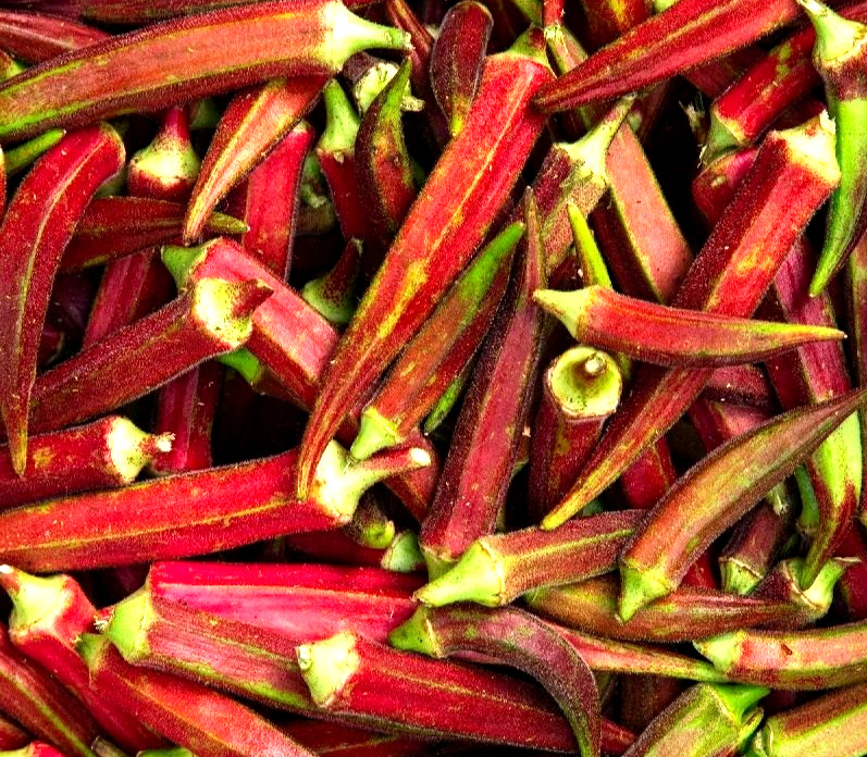 Red Burgundy Okra Seed 30+ SEEDS NON-GMO BUY 4 ITEMS GET FREE SHIPPING