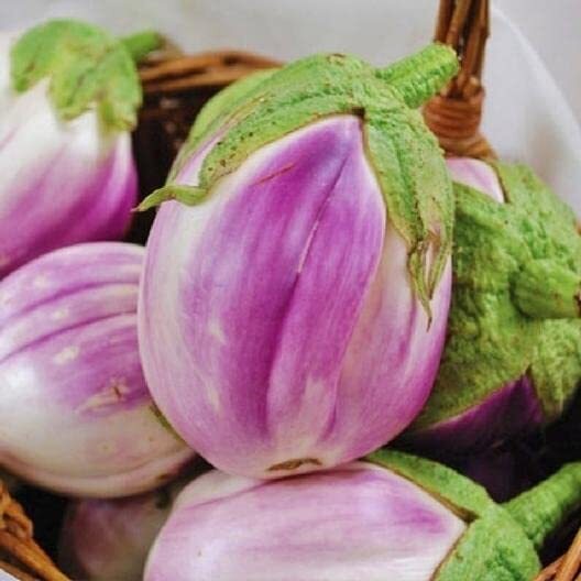 50 Rosa Bianca Eggplant Seeds Heirloom Non GMO Solanum Melongena