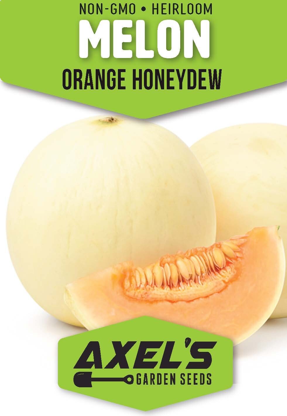 Honeydew Orange Flesh Melon Heirloom Non-GMO Seeds