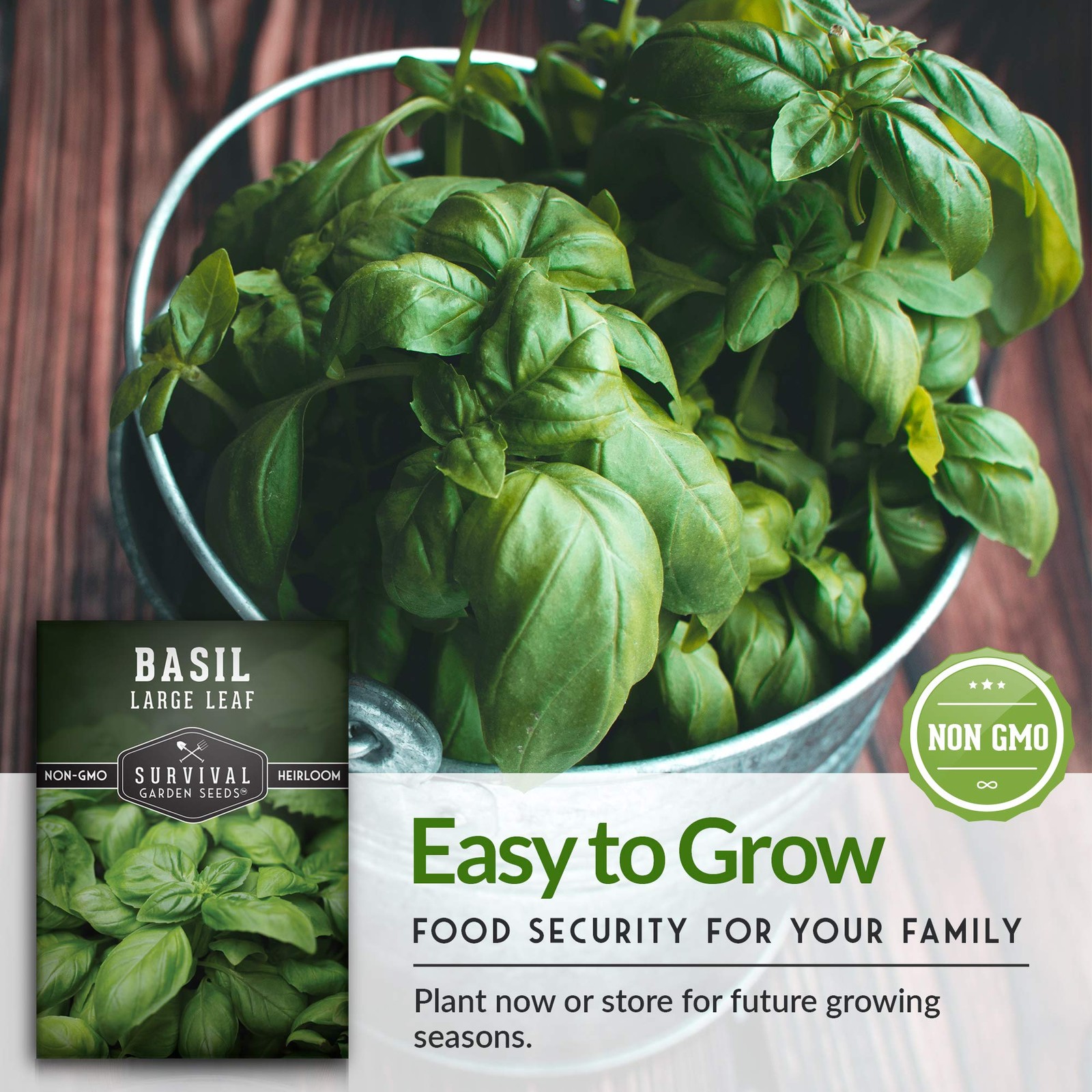 Herb Seeds Variety Pack – 5 Heirloom Kitchen Herbs for Easy Indoor & Outdoor