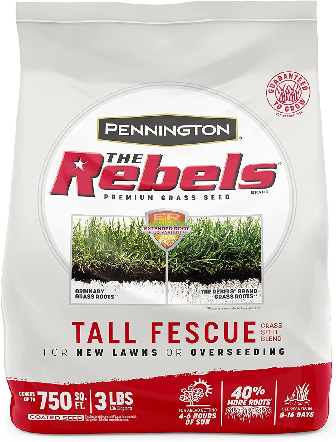 the Rebels Tall Fescue Grass Seed Mix 3 Lb