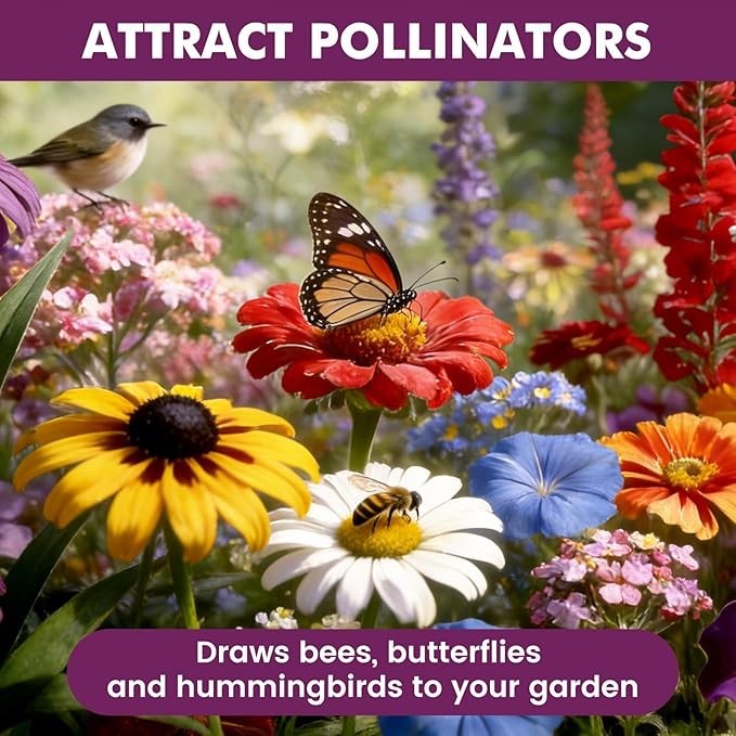 Wildflower Seeds Bulk 10000+, 1.06oz 21 Variety Perennial Mix, Multicolor