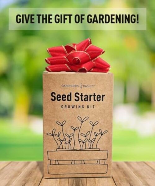 Sunflower Growing Kit – 5 Giant & Colorful Sunflowers Gifts for Women – Non