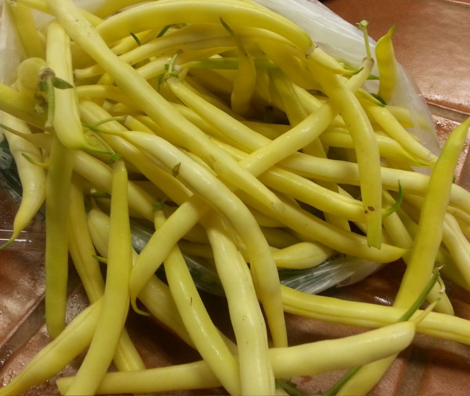 Cherokee Wax Bush Bean Seeds Heirloom Variety- 30+ ’21 Seeds $1.69 Max Shipping