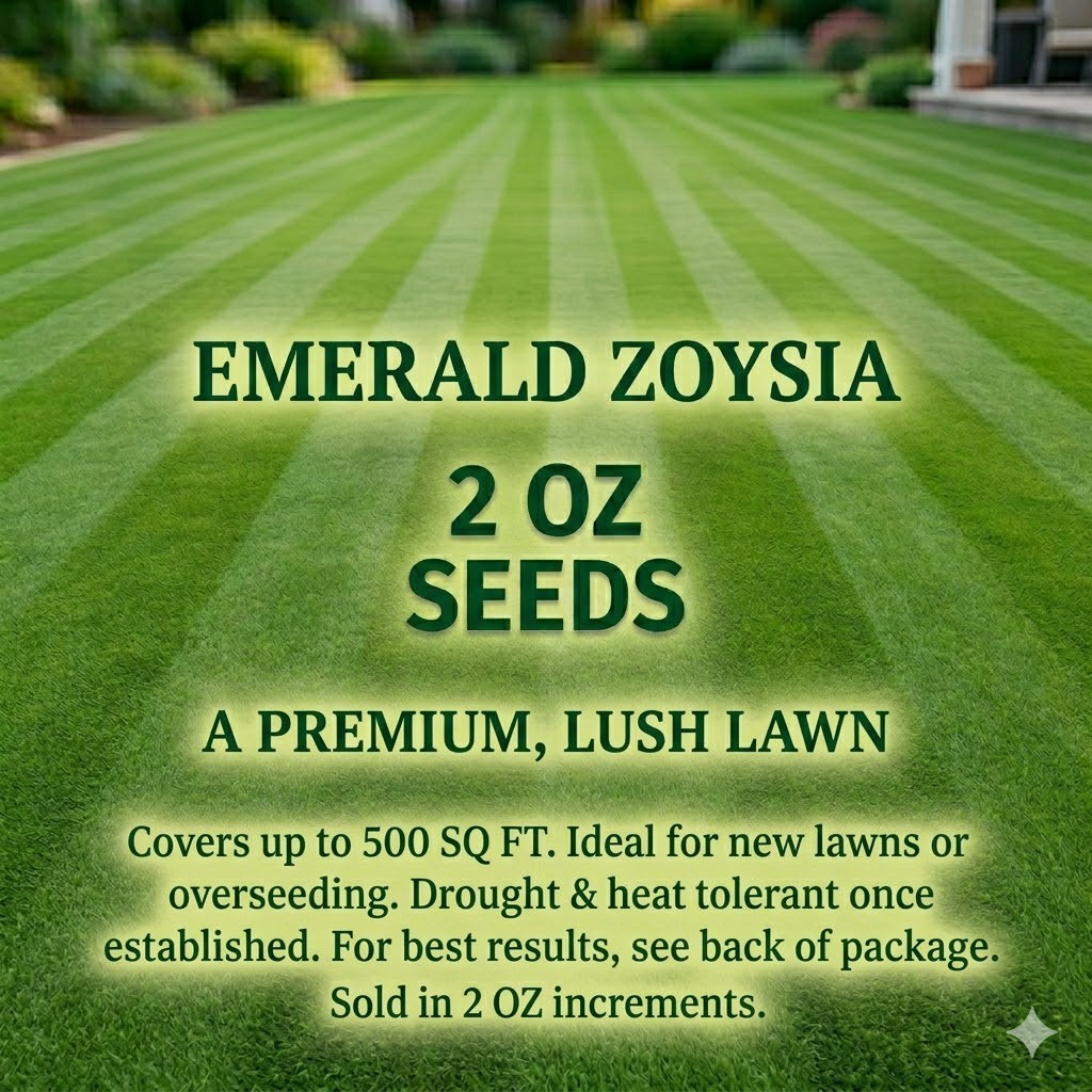 2 Ounces PREMIUM Emerald Zoysia Grass SEEDS – Lawn Turf Drought Heat Tolerant