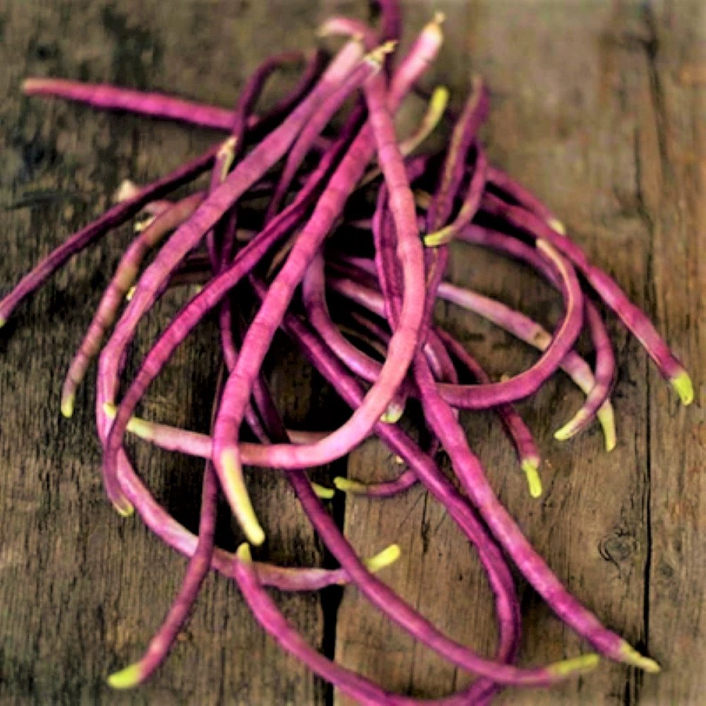 5 Colors Mix Yard Long Bean Seeds | Multi Variety Pole Asian Vegetable Seed 2023
