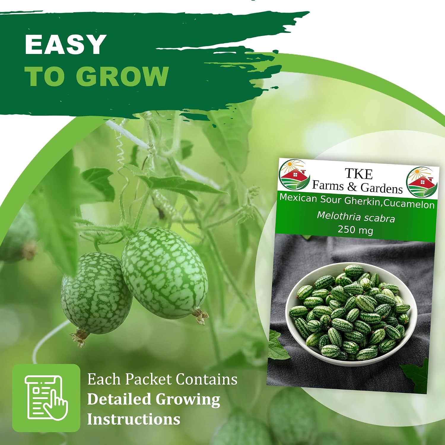 Cucamelon Heirloom Non GMO Vegetable Seeds for Planting, 75 Seeds, Gardening,