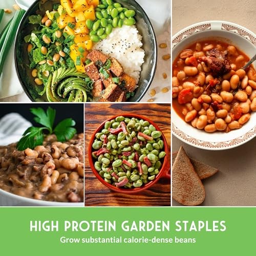 Dry Bean Seeds for Planting – 5 Heirloom Protein Varieties for Shelling &