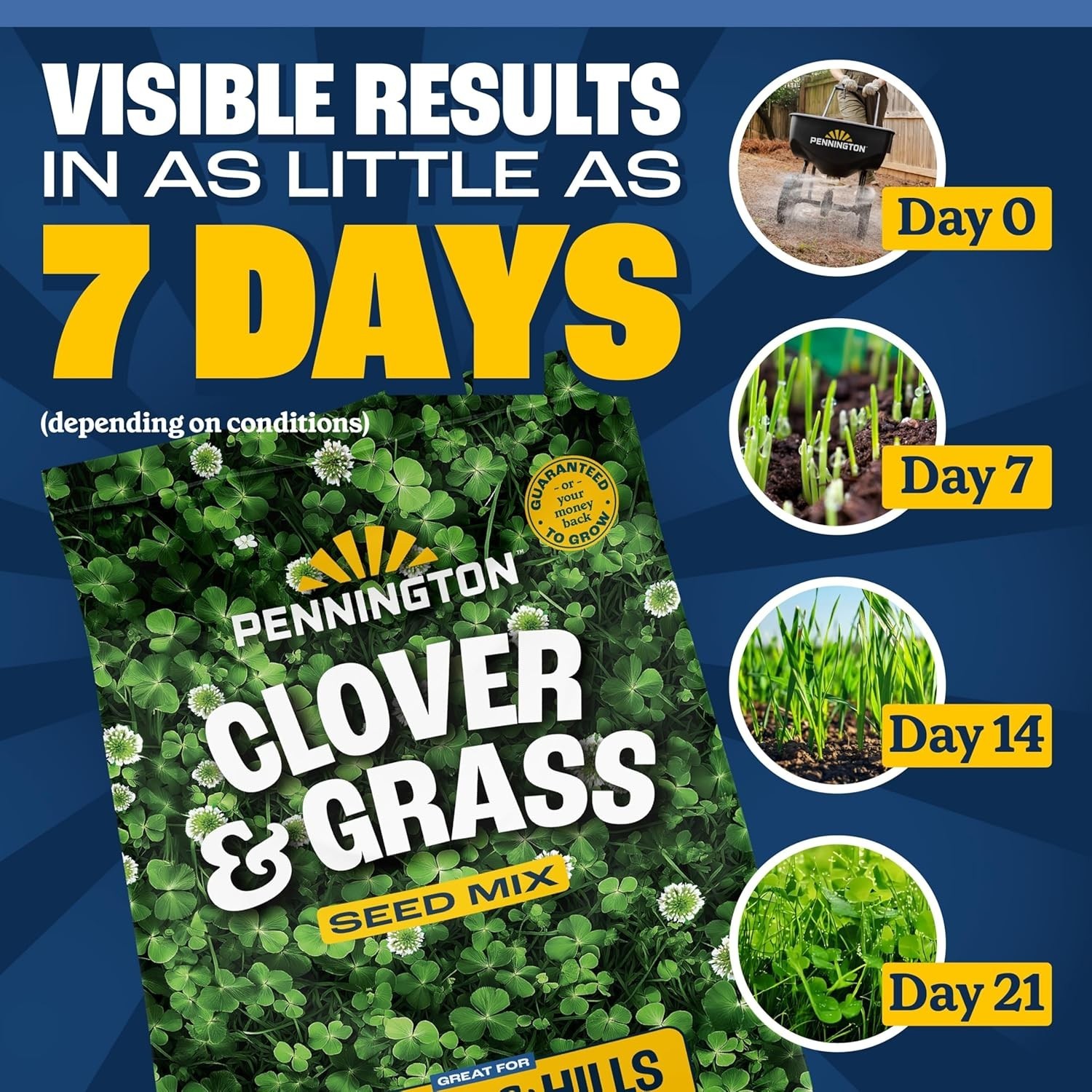 Durana Clover and Grass Mix 2-Pack – Pollinator-Friendly Low Water Lawn Solution