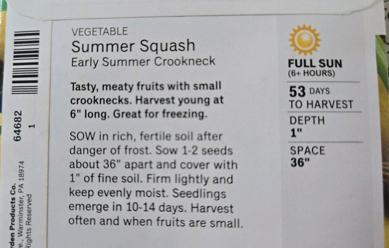 Summer Squash 30 Seeds Early Summer Crookneck
