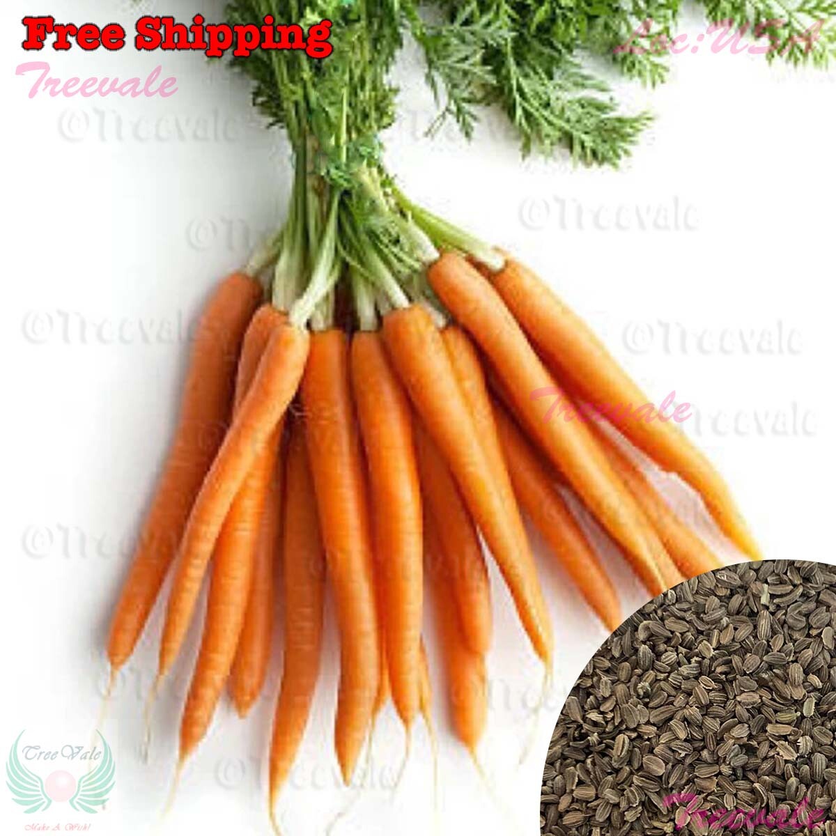 Little Fingers Carrot – Daucus Carota SEEDS | Vegetable Seeds