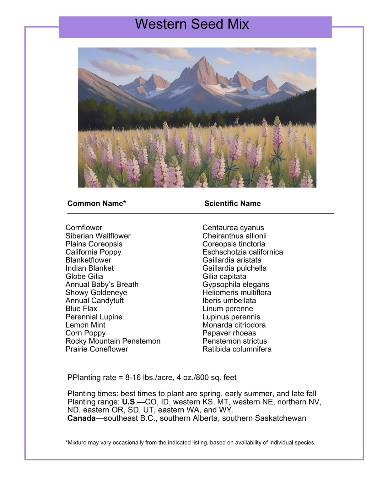 1/2 Pound Eastern Washington Bulk Wildflower Seed Mix 1/2lb Covers 1,600sq-ft
