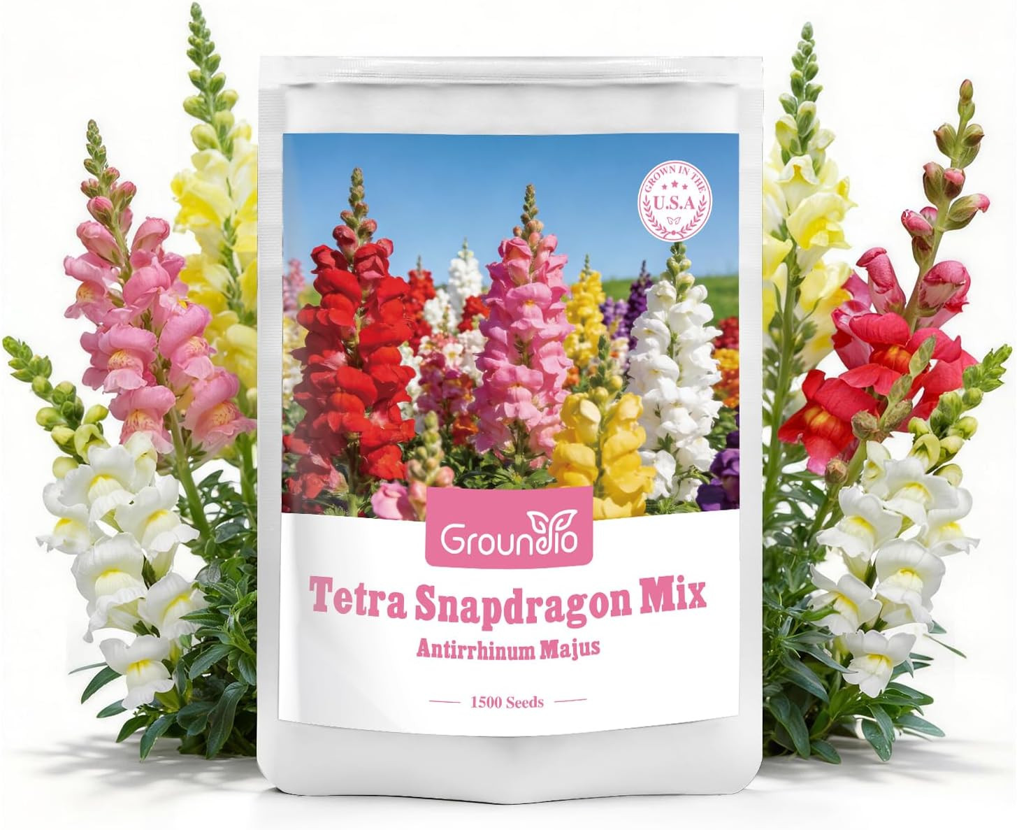 1500+ Tetra Mix Snapdragon Seeds for USDA 1-12 Planting, 18-24’’ Tall Snap Drago