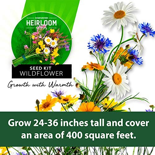 Wildflower Seeds – Premium Flower Seeds [1/4 Pound] Garden Seeds for Perennial
