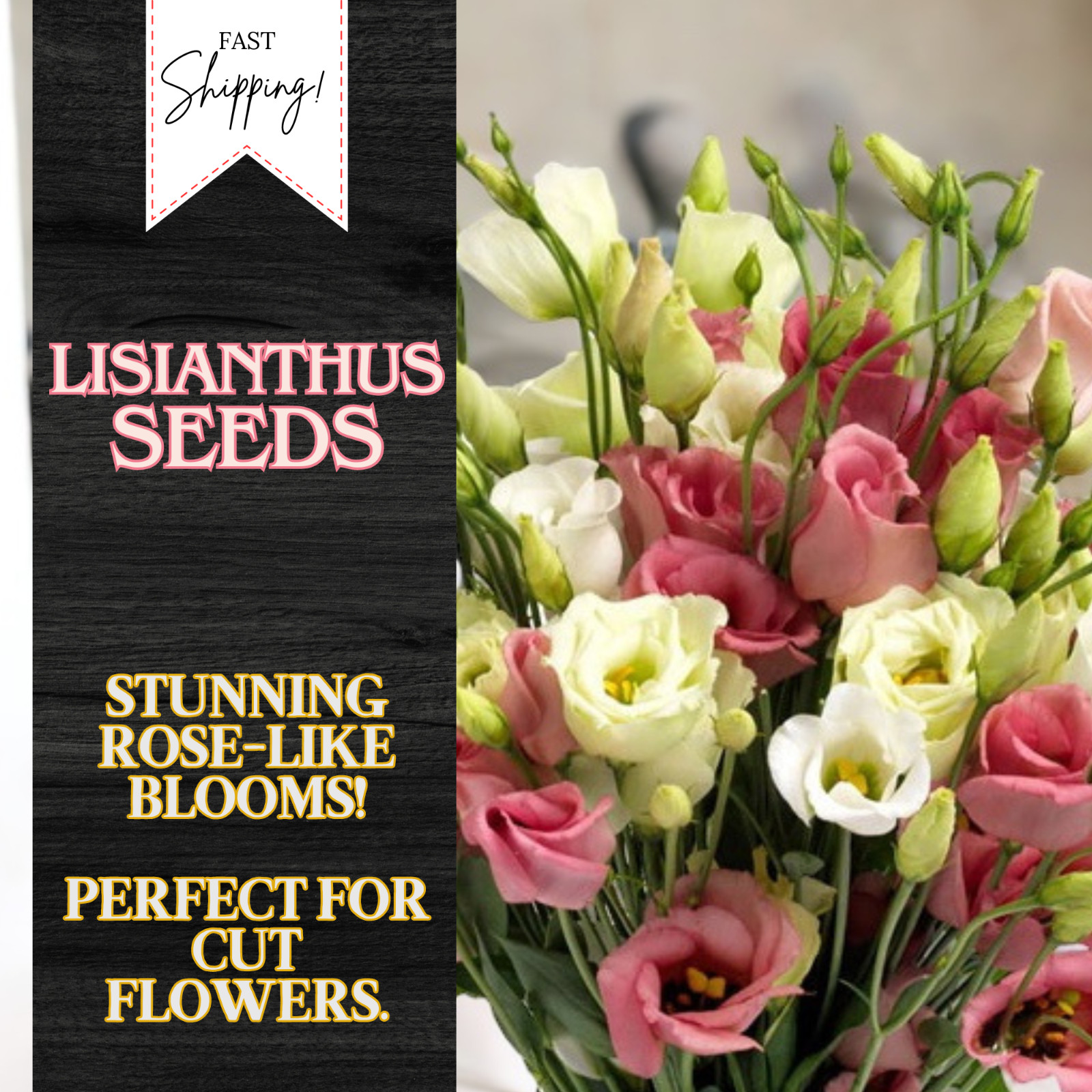 Lisianthus Seeds – Everlast Mix – Seeds Flower Seed Flowers Non Gmo Heirloom