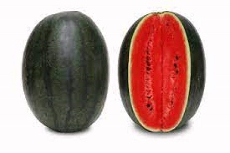 Premium Black Diamond Watermelon – Fresh Heirloom Seeds Beautiful and Delicious