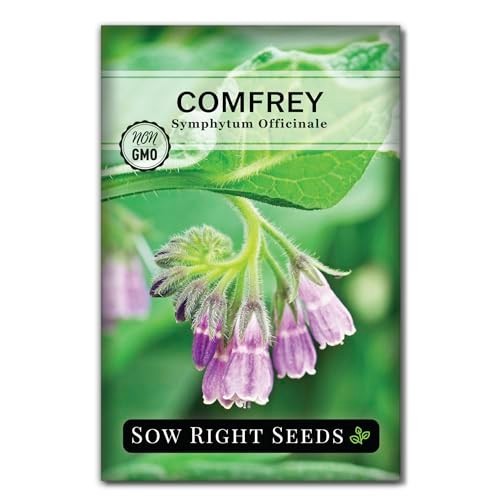 – Comfrey Seeds for Planting – Non-Gmo Heirloom – High-Yield Comfrey for Garden,