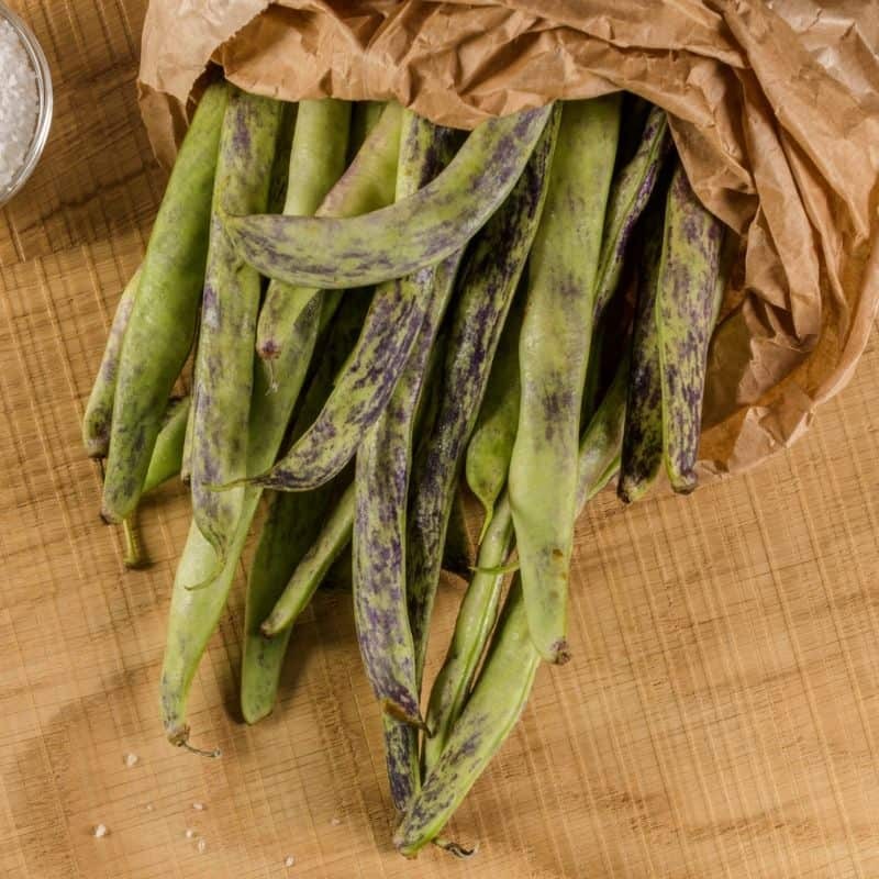 Rattlesnake Bean Seeds (Pole) | Purple Green Dragon Runner Snake Beans Seed 2024