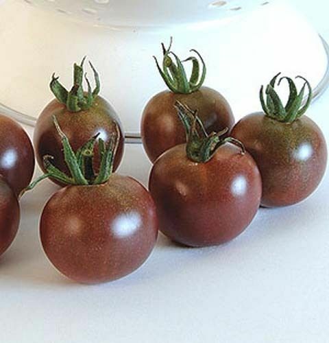Tomato Black Cherry (Lycopersicon Esculentum) Great Garden Vegetable 50 Seeds