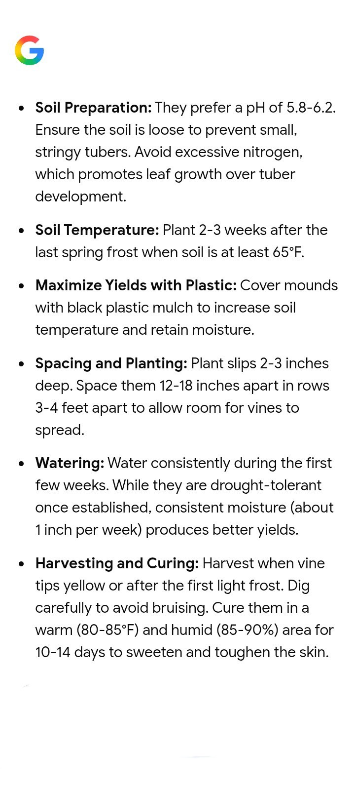 2 dozen Of Slips Organic Purple Sweet Potato With Roots Ready To Plant