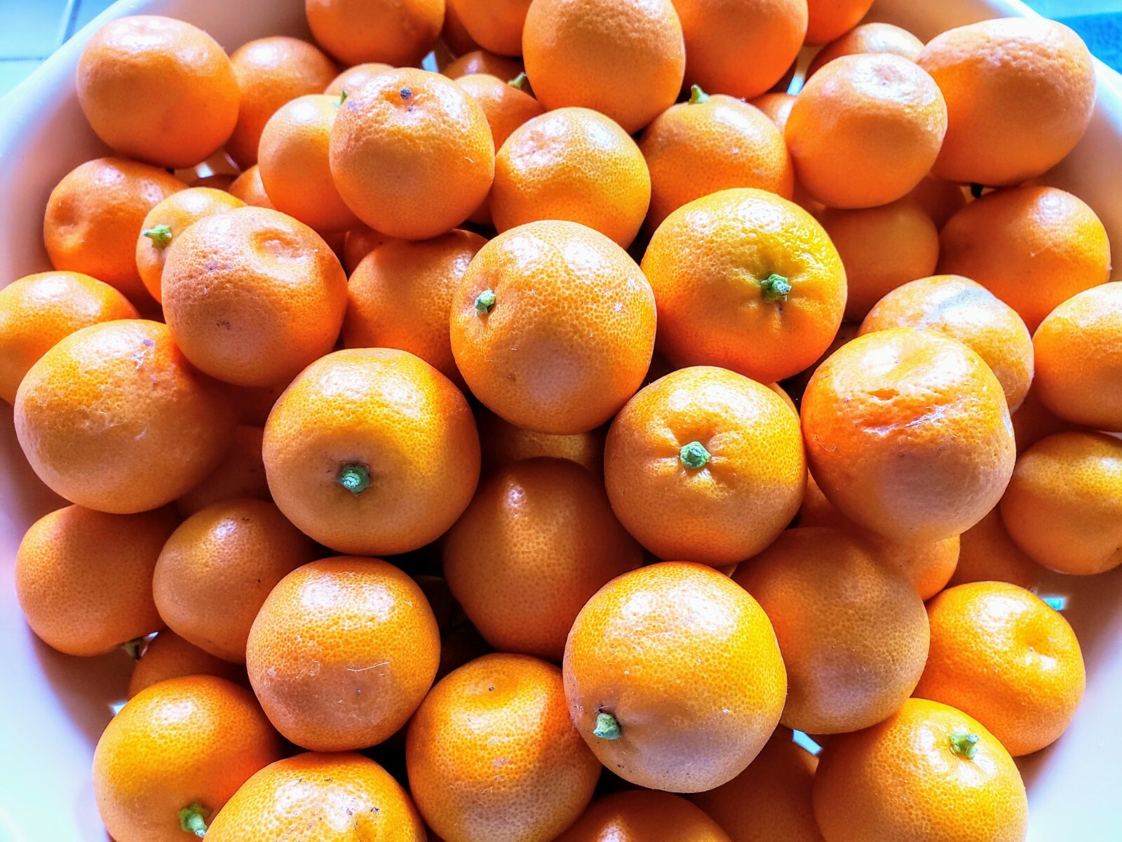 Calamansi Calamondin 20 Fresh Organic Seeds + 10 Extra = 30 Seeds Total