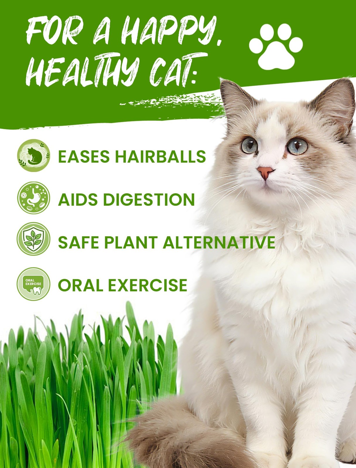 Cat Grass Kit for Indoor Cats, 3 Pack Fast Growing Cat Grass Kit with Eco-Fri…
