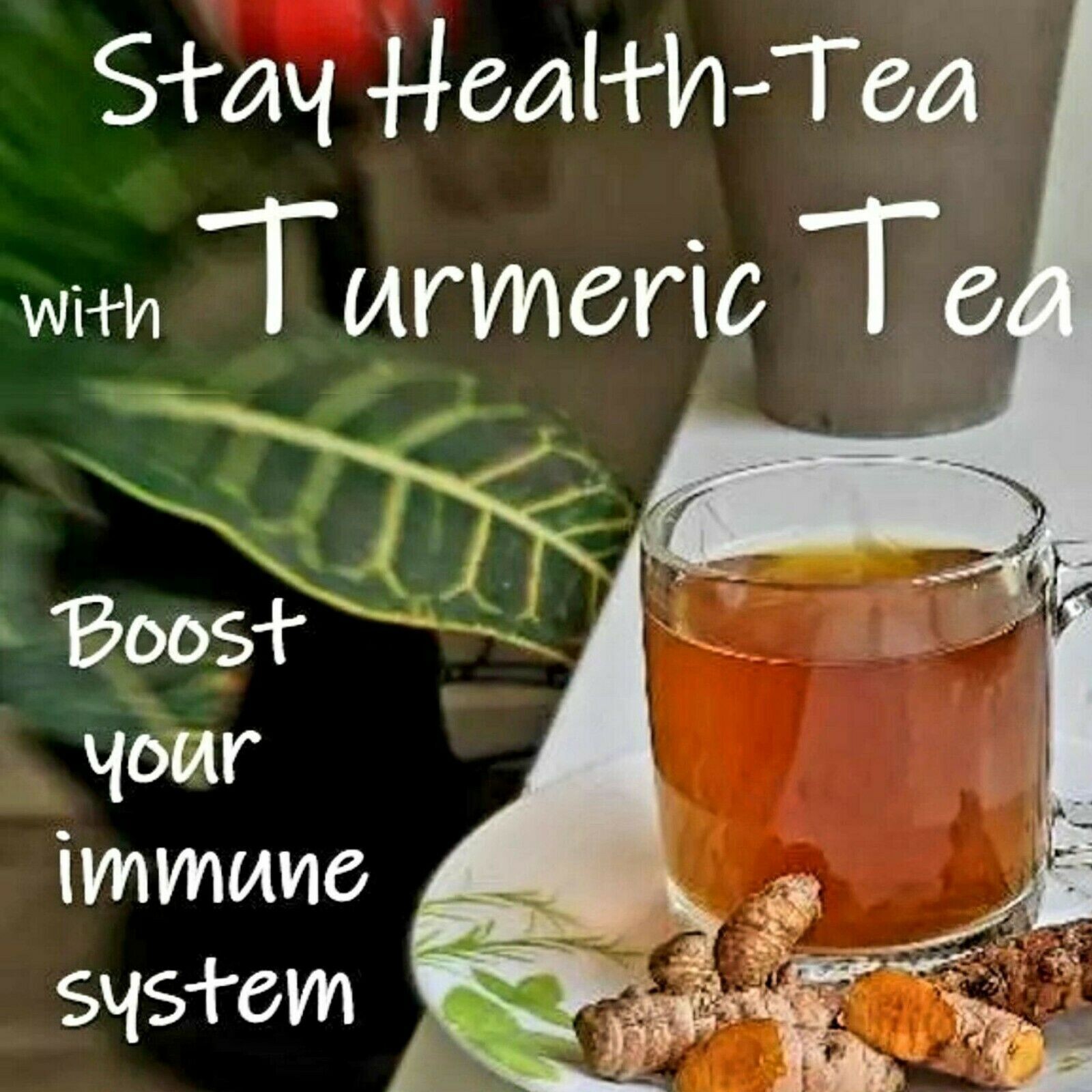 100 Papaya Seeds FREE 8oz TURMERIC Roots, Healthy, Carica, Curcuma Longa, Herb