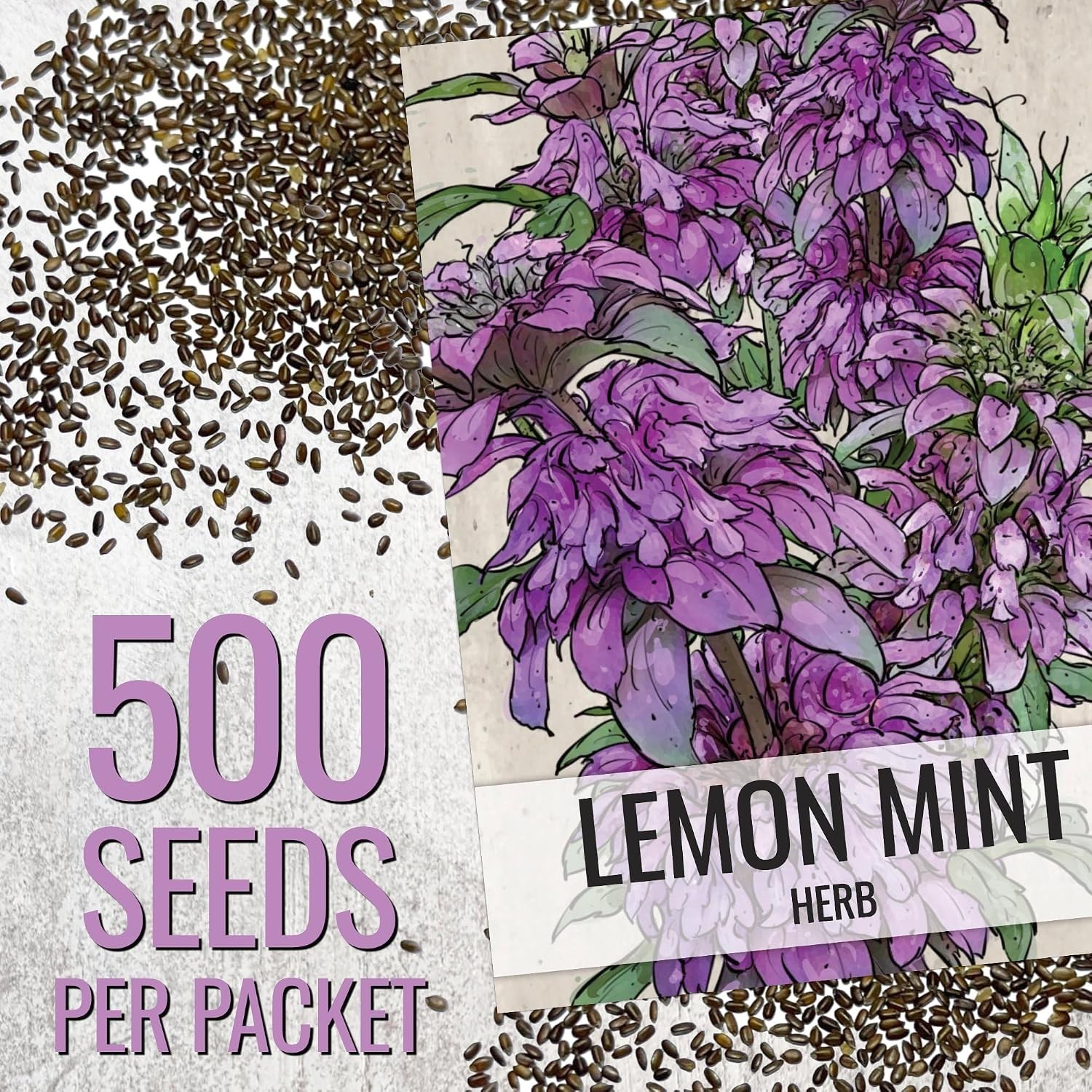Lemon Mint Heirloom Seeds – Non-GMO, Medicinal & Culinary Herb ,500 Count