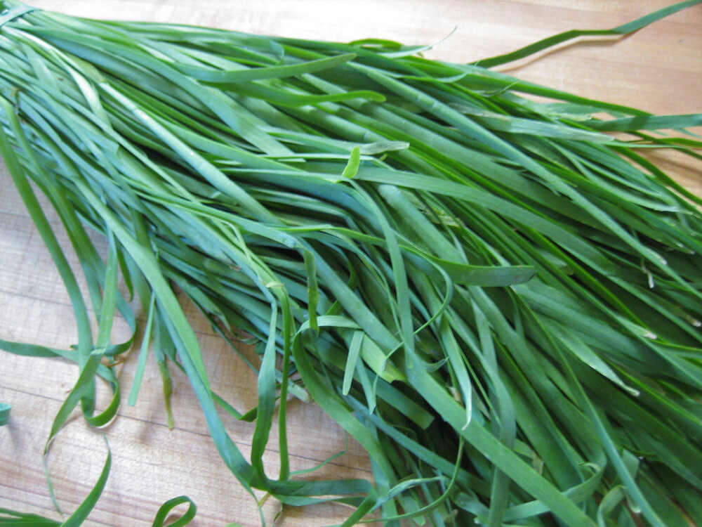 250+Garlic Chives seeds(Allium tuberosum) Chinese Chives vegetable Jiu Cai USA