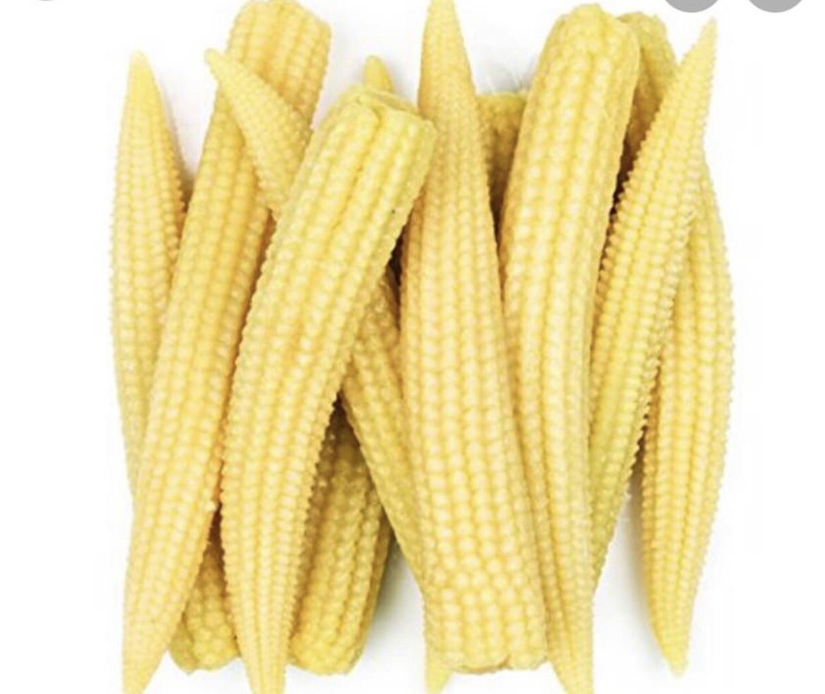 4 Packets -Blue Corn-Glass Gem Corn-Japanese Baby Corn-Strawberry Corn Seeds-US