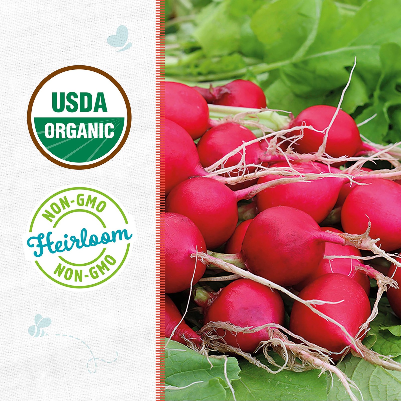 Back to The Roots 100% Organic Seed Packet – Radish ‘Cherry Belle’ 1.4g