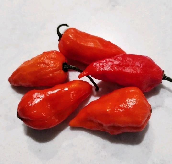 Red Hot Summer Deluxe – 48 Superhot Seeds -Reaper, Primo, Ghost & Death Spiral