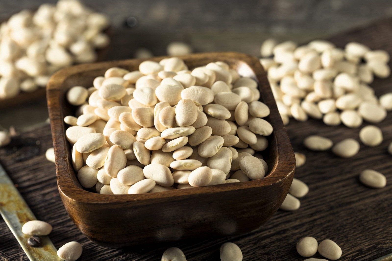 50 BABY LIMA BEAN Phaseolus Lunatus Vegetable Seeds