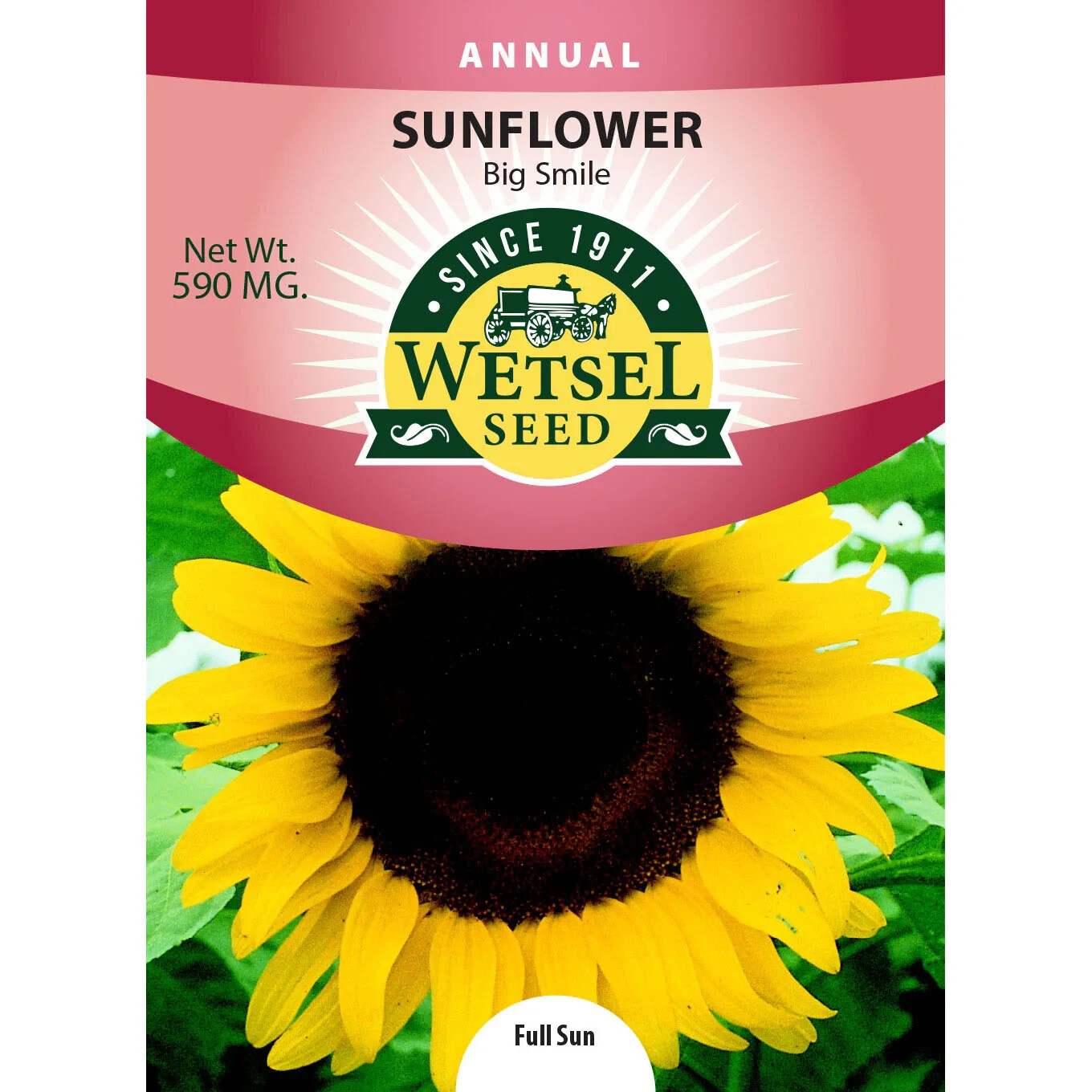 Wetsel Sunflower Big Smile Seeds, 10 Packs 590MG Each, Sell By 12/31/24, New S3