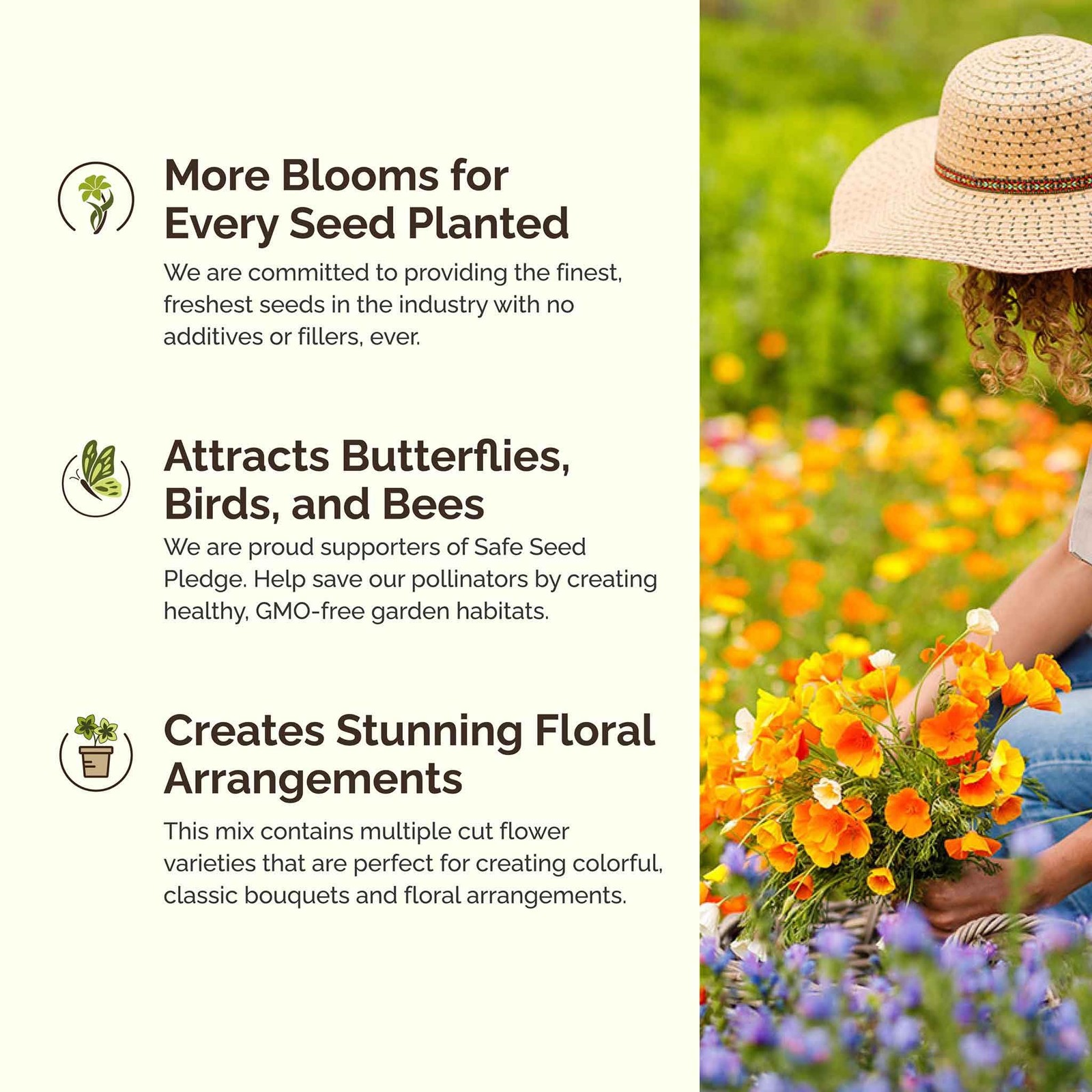 Wildflower Mixed Seeds for Planting, 1 lb, Attract Pollinators, Zones 3-10